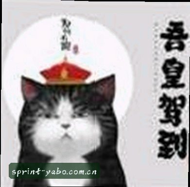 王浩